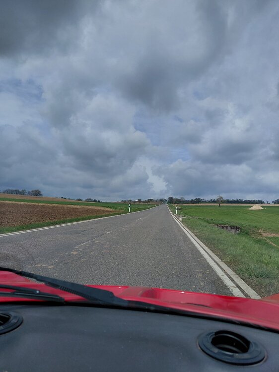 20260403_131913.jpg