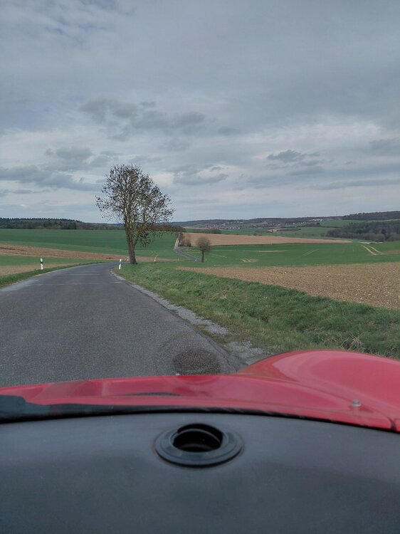 20260403_164322.jpg