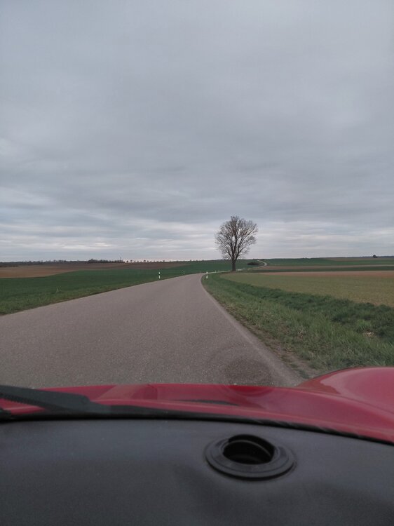20260403_190831.jpg