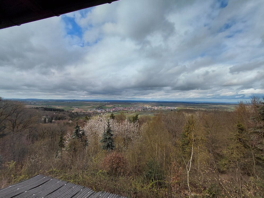 20260404_152937.jpg
